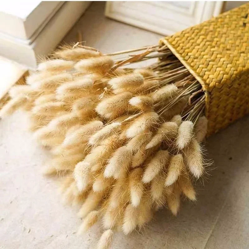 

100pcs/set Dried Rabbit Tail Grass Flowers Home Desktop Decorative Eternal FlowersArtificial Plant DIY Bouquets Wedding Party