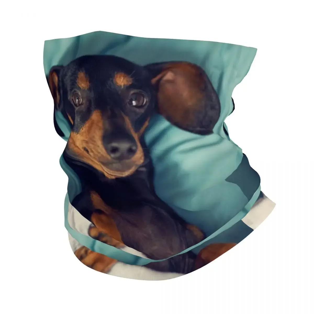 Dachshund Bandana Neck Gaiter for Ski Cycling Men Women Wrap Scarf Badger Sausage the Wiener Dog Headband Warmer