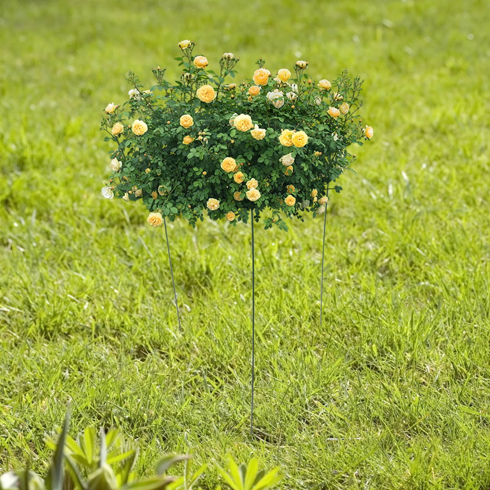 

Premium Garden Trellis Plant Climbing Support Rack Vine Stem Stand for Outdoor Large Size Durable Weather Resistant for Climbing