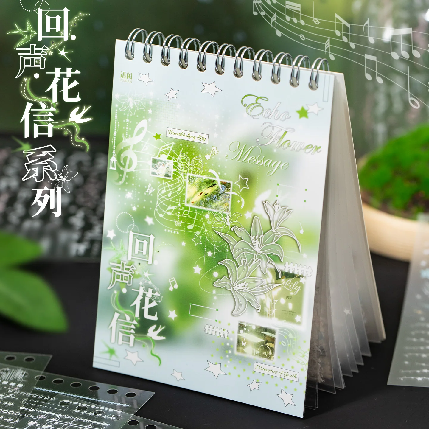 30Pcs Clear PET Deco Stickers, 