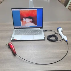 2025 2mm 2.8mm(1.2mm) 5.2mm(2.2m)Portable Video Bronchoscopy Gastroscope Endoscope Camera Cystoscopy (USB interface) Disposable