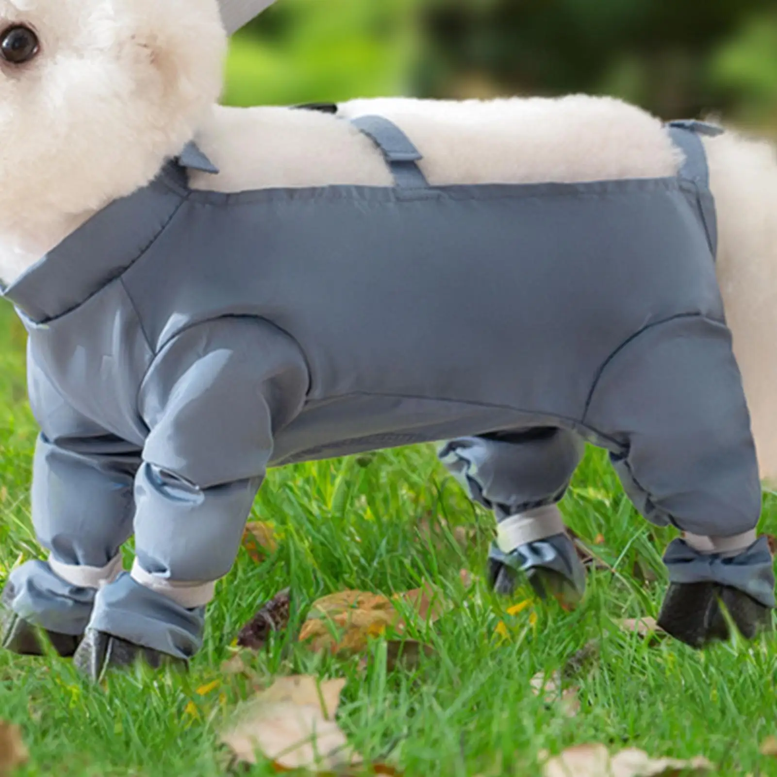 Thumbnail 2 - #87 Best Dog Boots to Buy In 2026