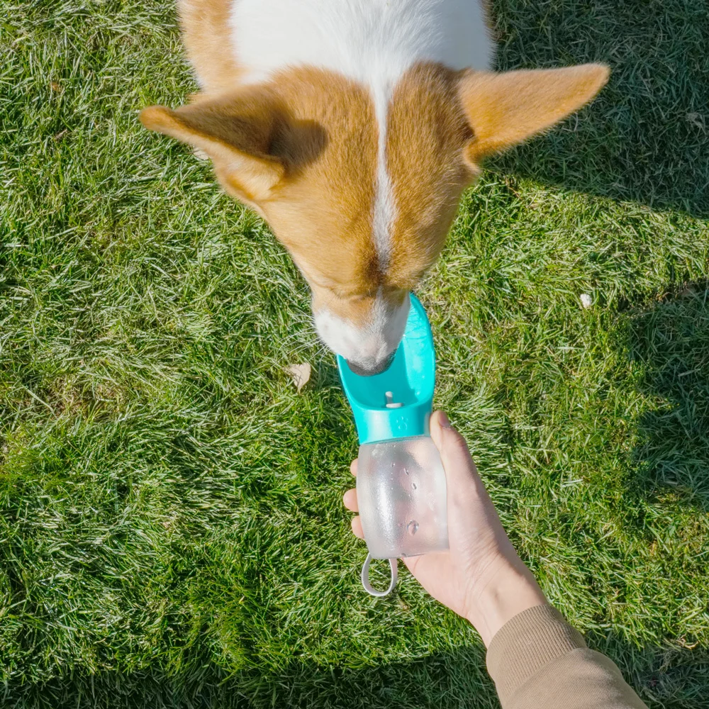 Pet Dog Water Bottle 300ML Puppy Drinking Bowls For Small Medium Dogs Cats Hiking Portable Cat Feeder Golden Retriever Supplies view 5