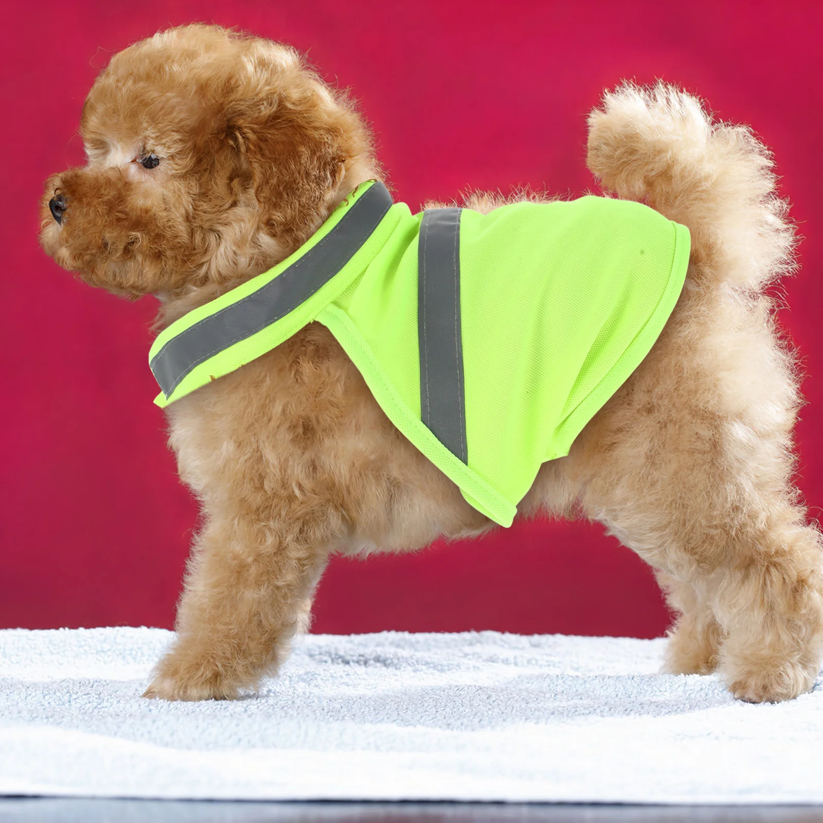 

Premium Dog Safety Vest Fluorescent Yellow S Highly Visible Breathable Adjustable Perfect for Outdoor Activities Running Hiking