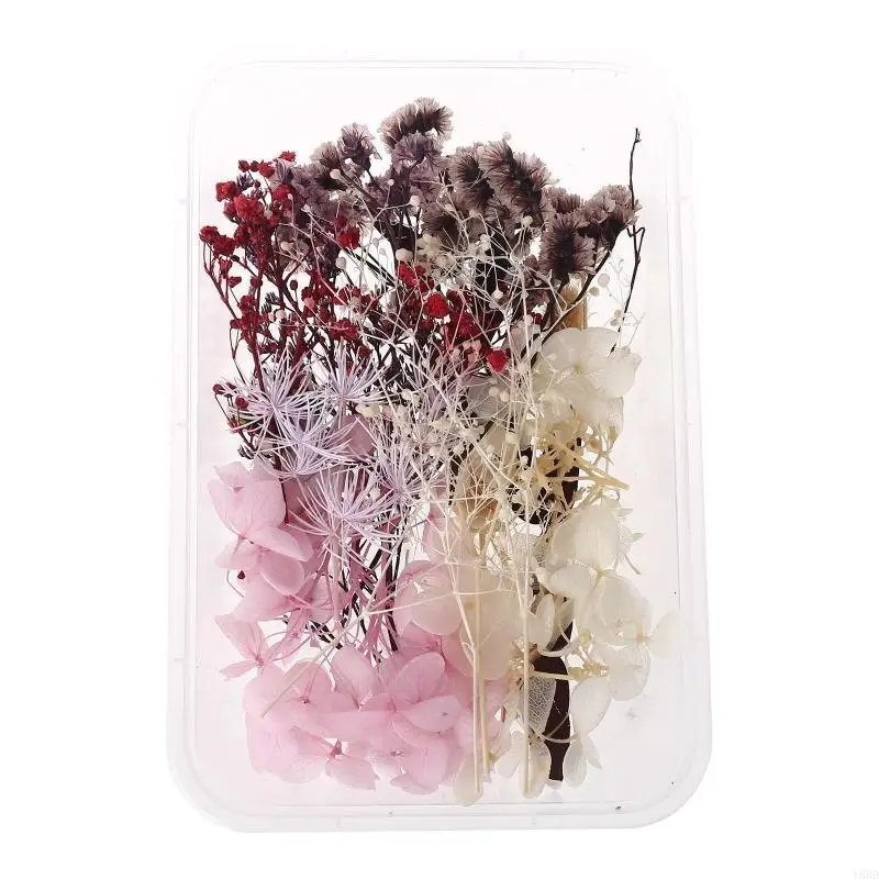 Y88D 1 Caja Real Mix Flores secas para aromaterapia Joyas resina vela Plantas secas Flores prensado Flower Diy Accesor