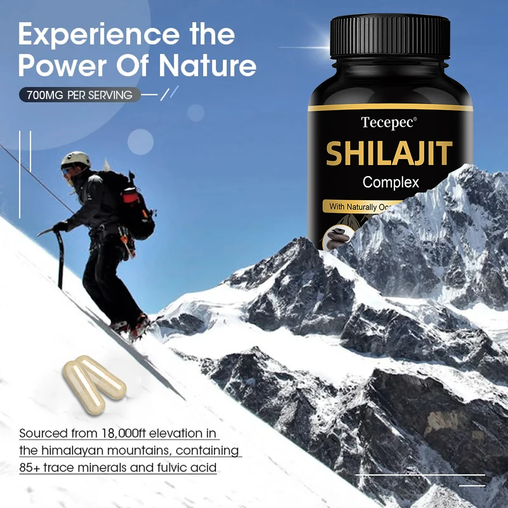 Shilajit with Ginseng Capsules, Rich Fulvic Acid & Trace Minerals, Support Daily Vitality, Stamina & Body Wellness for Adult