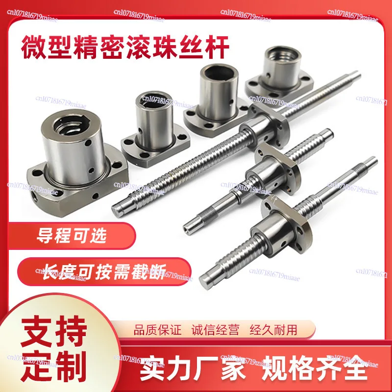 Miniature Precision Ball Screw SFK0601/0602/0802/1002/1202 Small Ball Screw Nut
