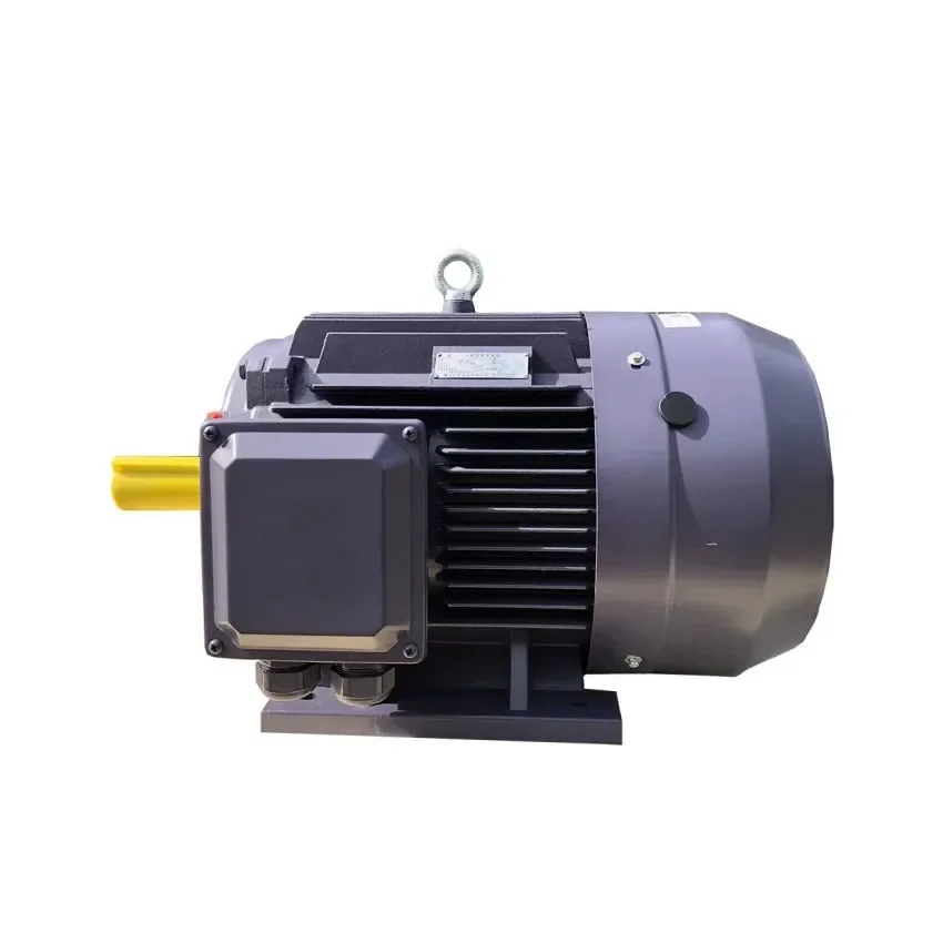 

High Efficiency Three Phase Asynchronous Induction Electric Motor With IEC Standard