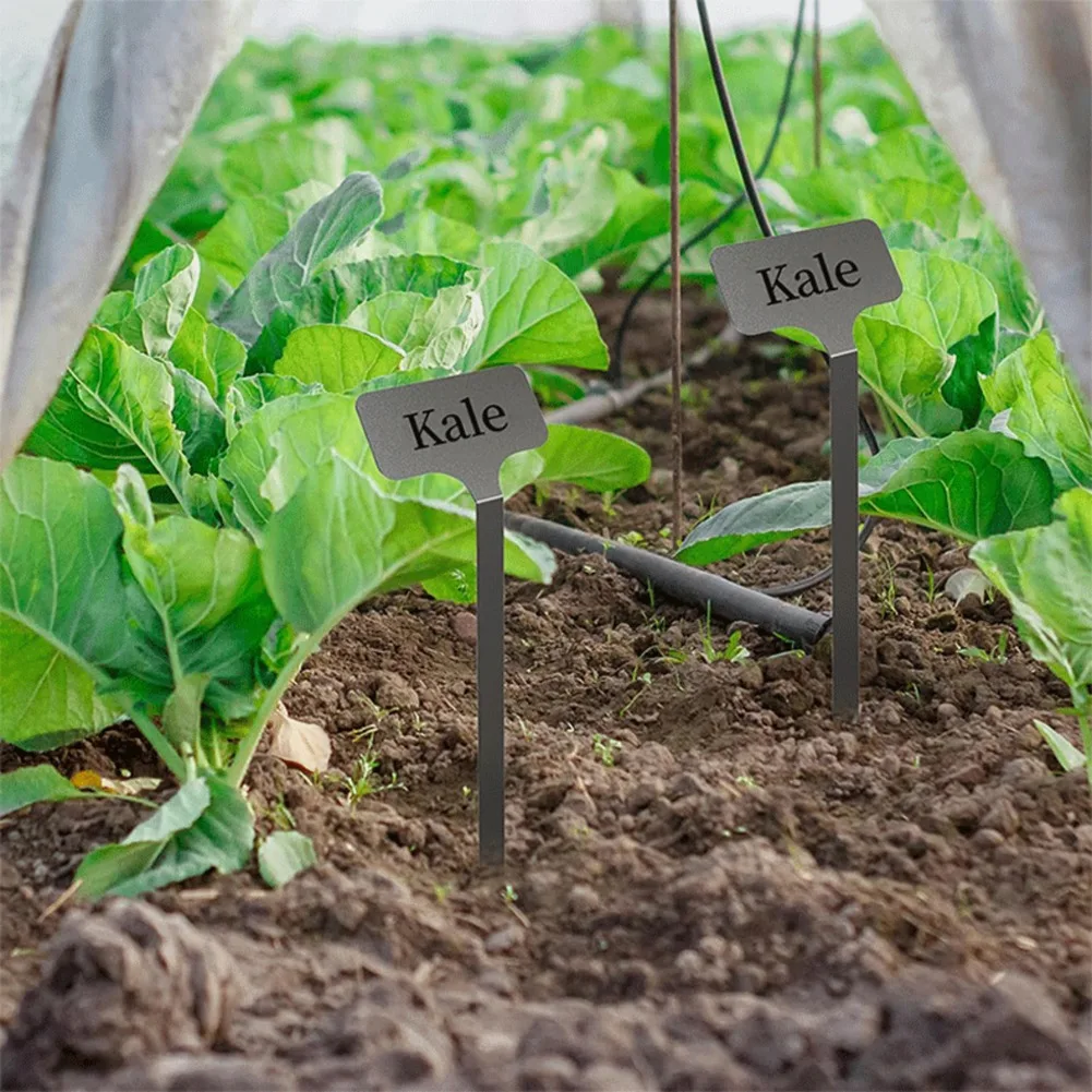 

A34R 10Pcs Stainless Steel T-Type Plantshrub Nursery Garden Writable Labels Pot Name Tags For Gardening