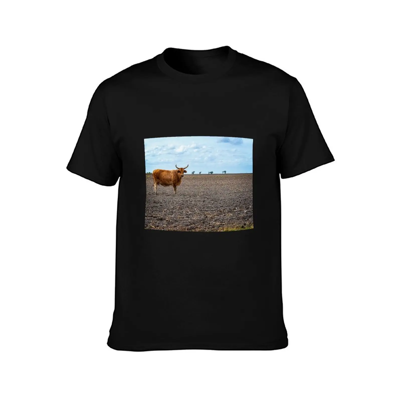Cow with horns standing in empty pasture T-Shirt Trendy Pattern for Men T-Shirt