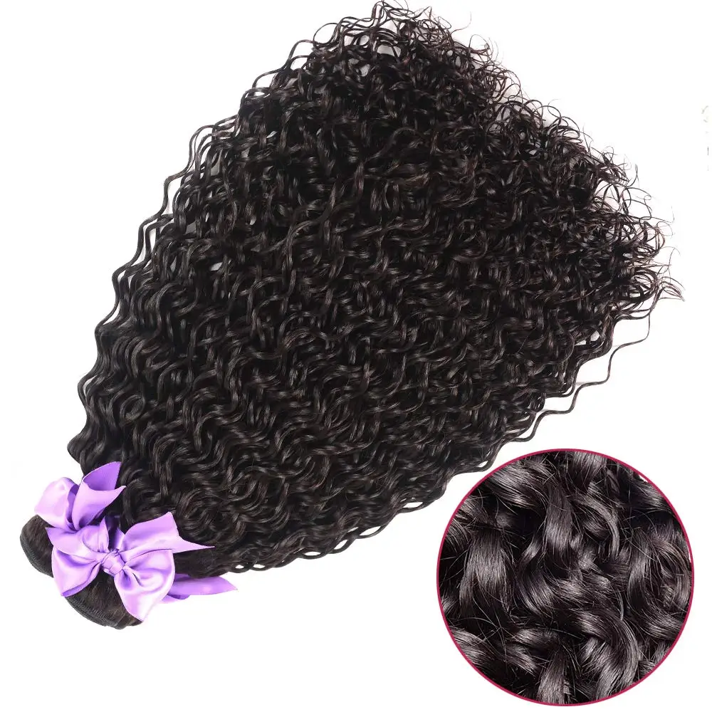 Malaysian Water Wave Bundles With Closure Wet and Wavy Curly Human Hair Bundles With Frontal Closure Remy Hair Weave Extensions