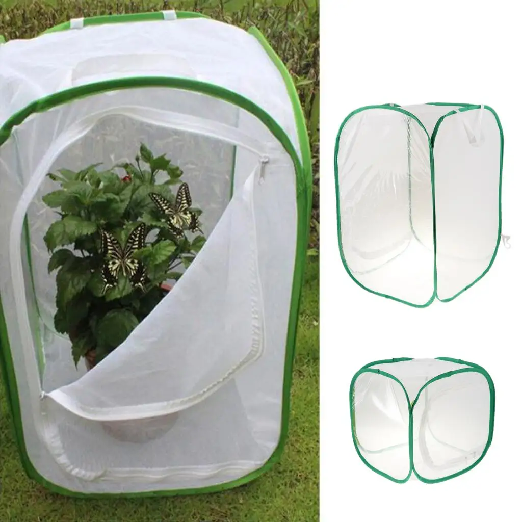 Butterfly Habitat Cage Professional Square Mesh Cage Collapsible Design for Breeding and Study