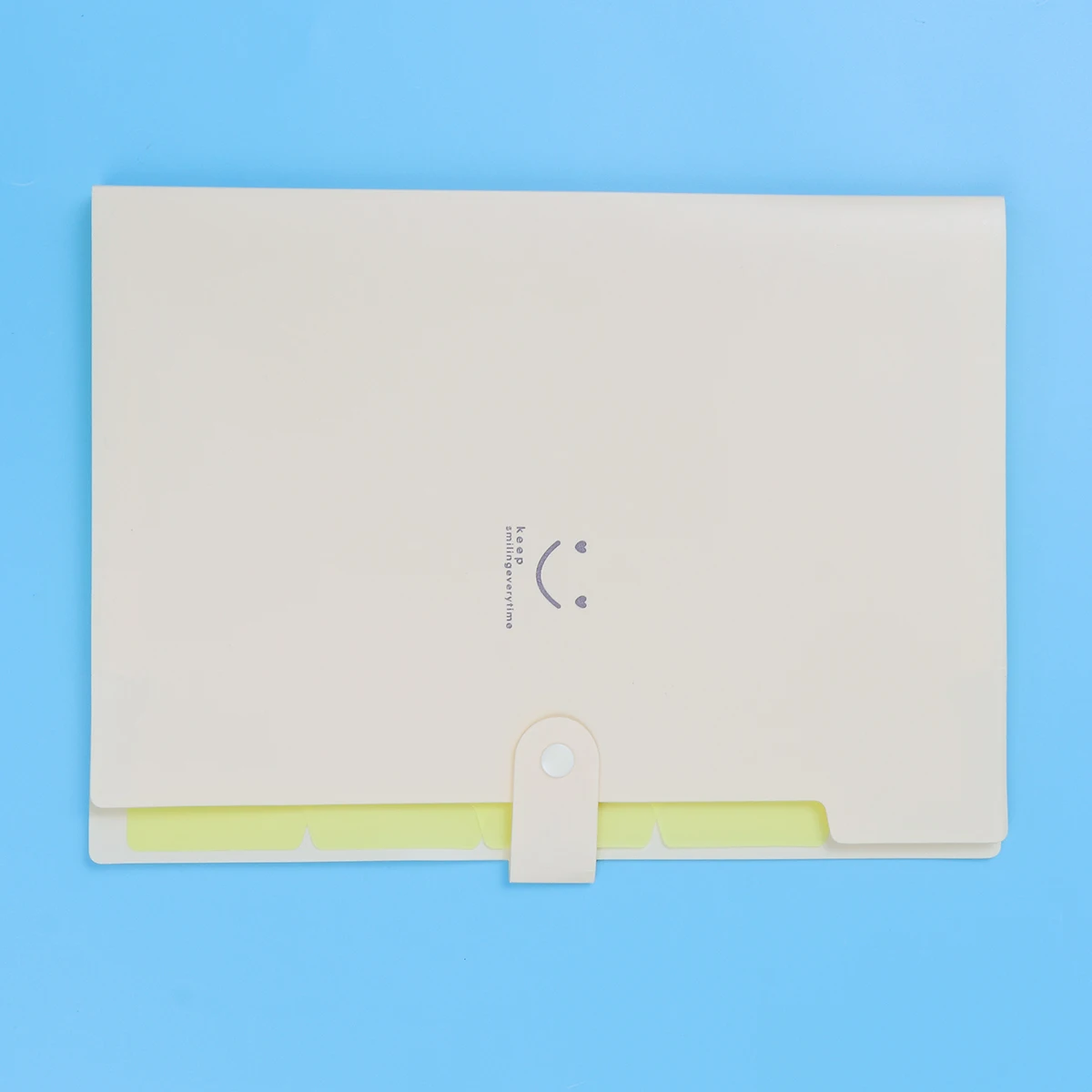

5 Pockets File Folder Plastic Letter Size Snap Closure Storage Folders Office School Use Expanding Documents Bag