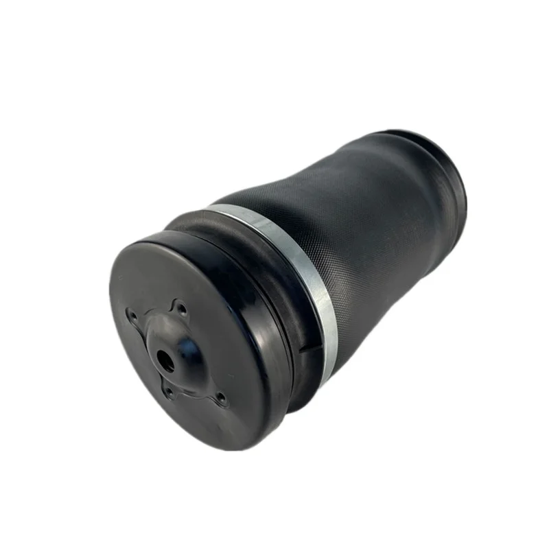 ForW164 Air Shock Absorber Rear Air Pack 1643201025 Auto Parts