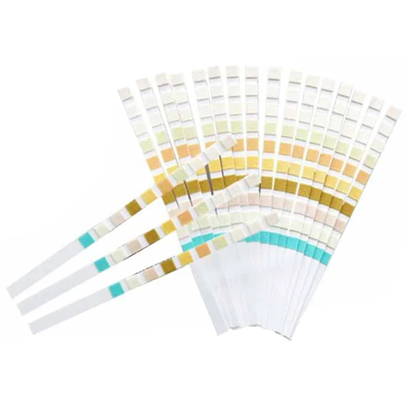 100 Strips Urine Test Strip 10 Parameters