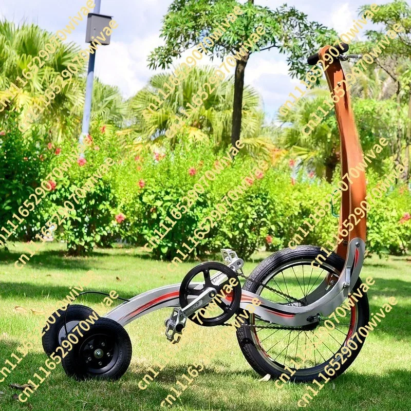 New sports, creative personality, standing sports car, three-wheeled bicycle for standing up and riding