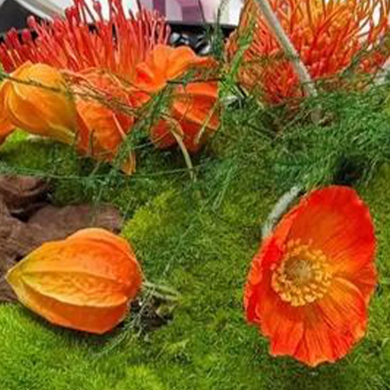 

Популярная настольная машина для обработки мяса, коммерческая мясорезка для ресторанов, слайсер-измельчитель для мяса, нарезка полосками и кубиками