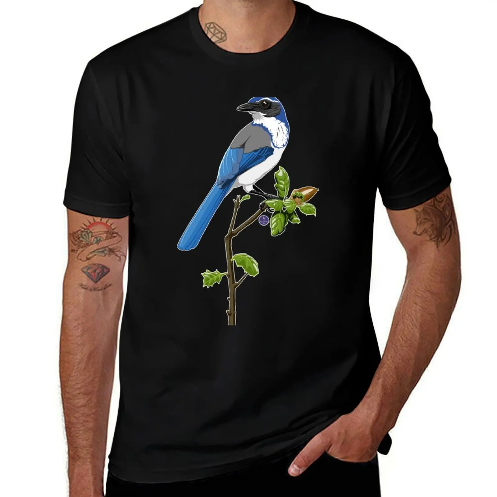 California Scrub-Jay T-Shirt Fitness Quick Dry Short Sleeve Top