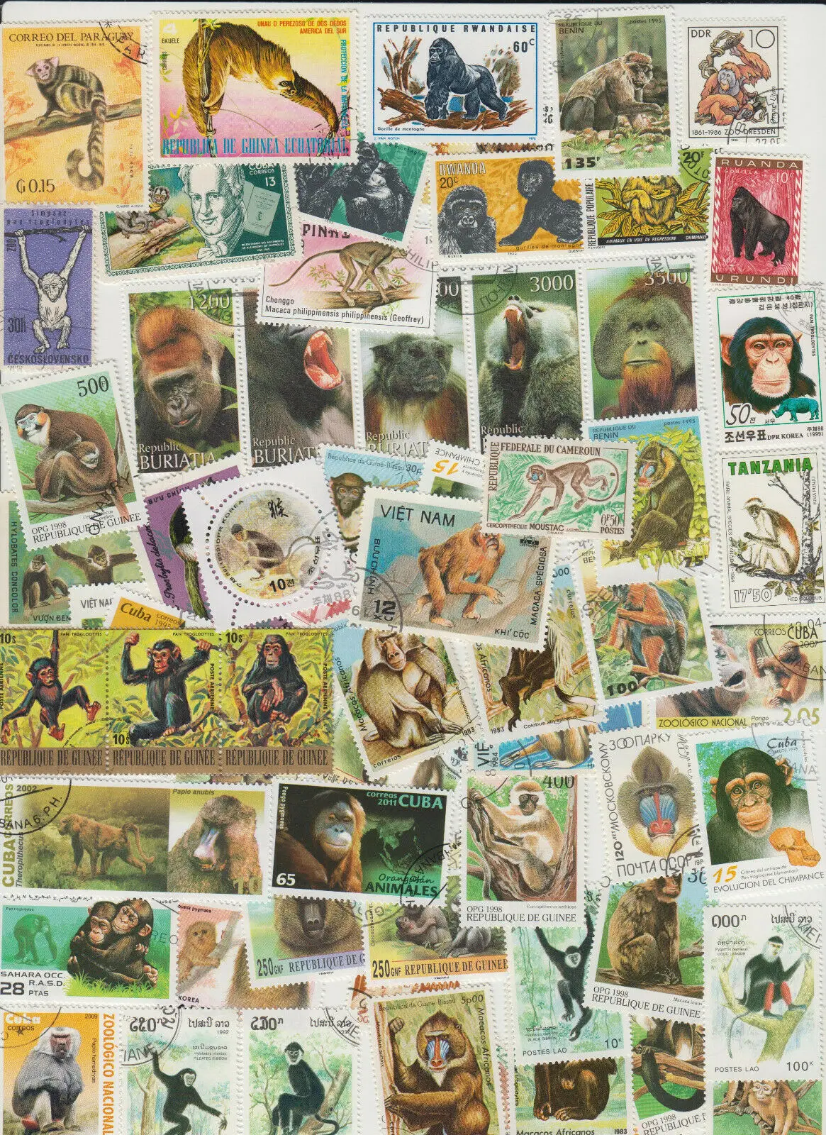 Wildtiere der Welt: Echte Briefmarken mit Tiermotiven, 100 verschiedene Tierbriefmarken, Sammlung, Sammlerbriefmarken – Detail 6