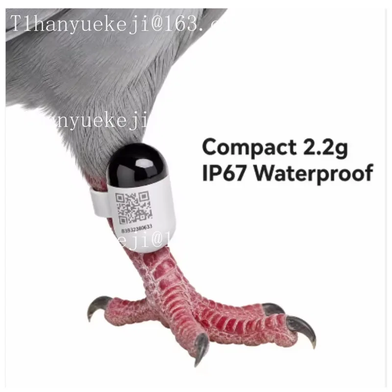 for Real time GPS locator for pigeons and parrots, outdoor flight locator, leg strap and ring pigeon positioning waterproof