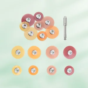 Diskler ve Diş Seramik Restorasyonlarının bitirilmesi ve parlatılması ve ardından camın ayna bitirilmesi ve 200 Adet Porselenin bitirilmesi için en iyi 10 satış-no. 6