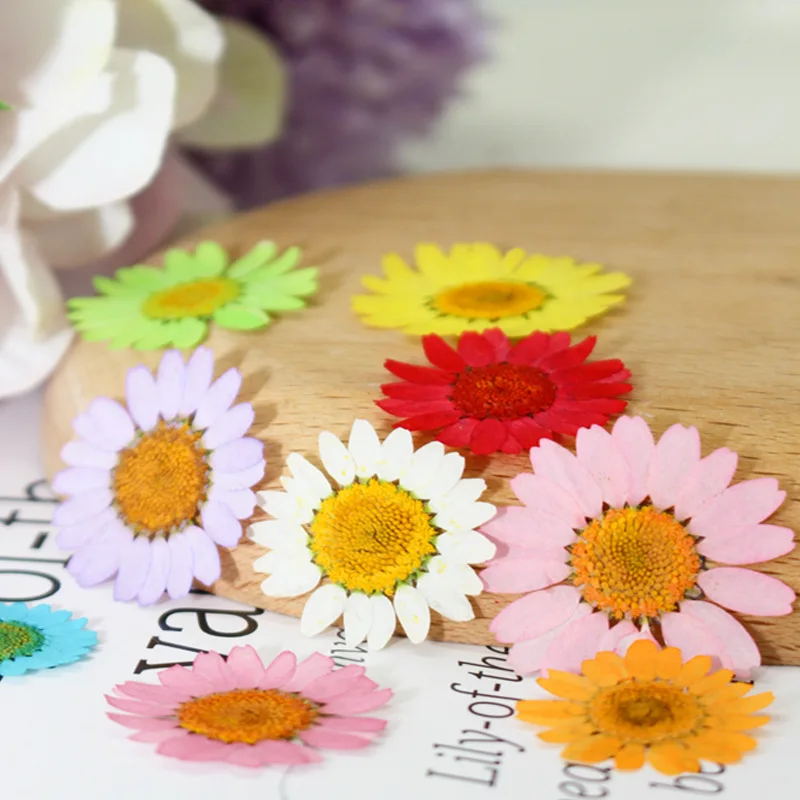 12PCS Set 2.5-4cm Natural Dried Flowers for DIY Phone Case Fillings Pressed Crystal Chrysanthemum Flower Nail Art Decorations