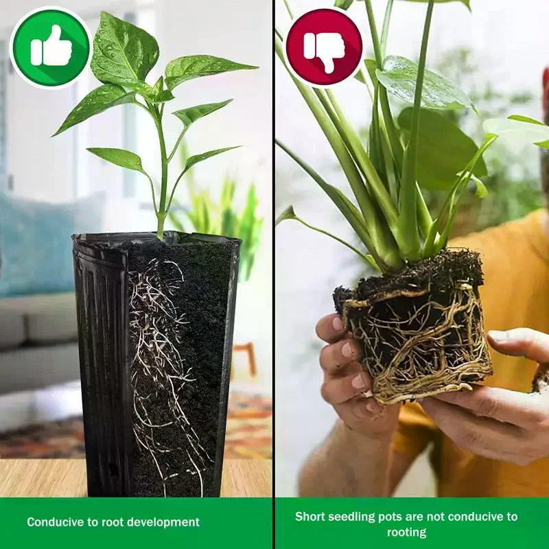 20Pcs Plastic Deep Nursery Pots Treepots With Ventilation And Drainage Black Square Seed Starting Pots Flower Plant Containers