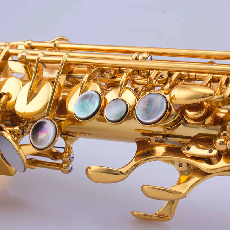 Curved Soprano Saxophone BB Tone Gold Lacquer Brass Body PMMA Mouthpiece Professional Model TSSS-656 Woodwind Instrument