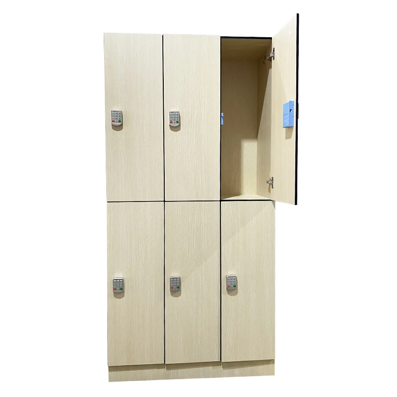 Modular Fitness Lockers,HPL China Supplier Hpl Waterproof High Smart Digital Rfid Hf Kids Shoe Wooden Storage Lock Lockers For G