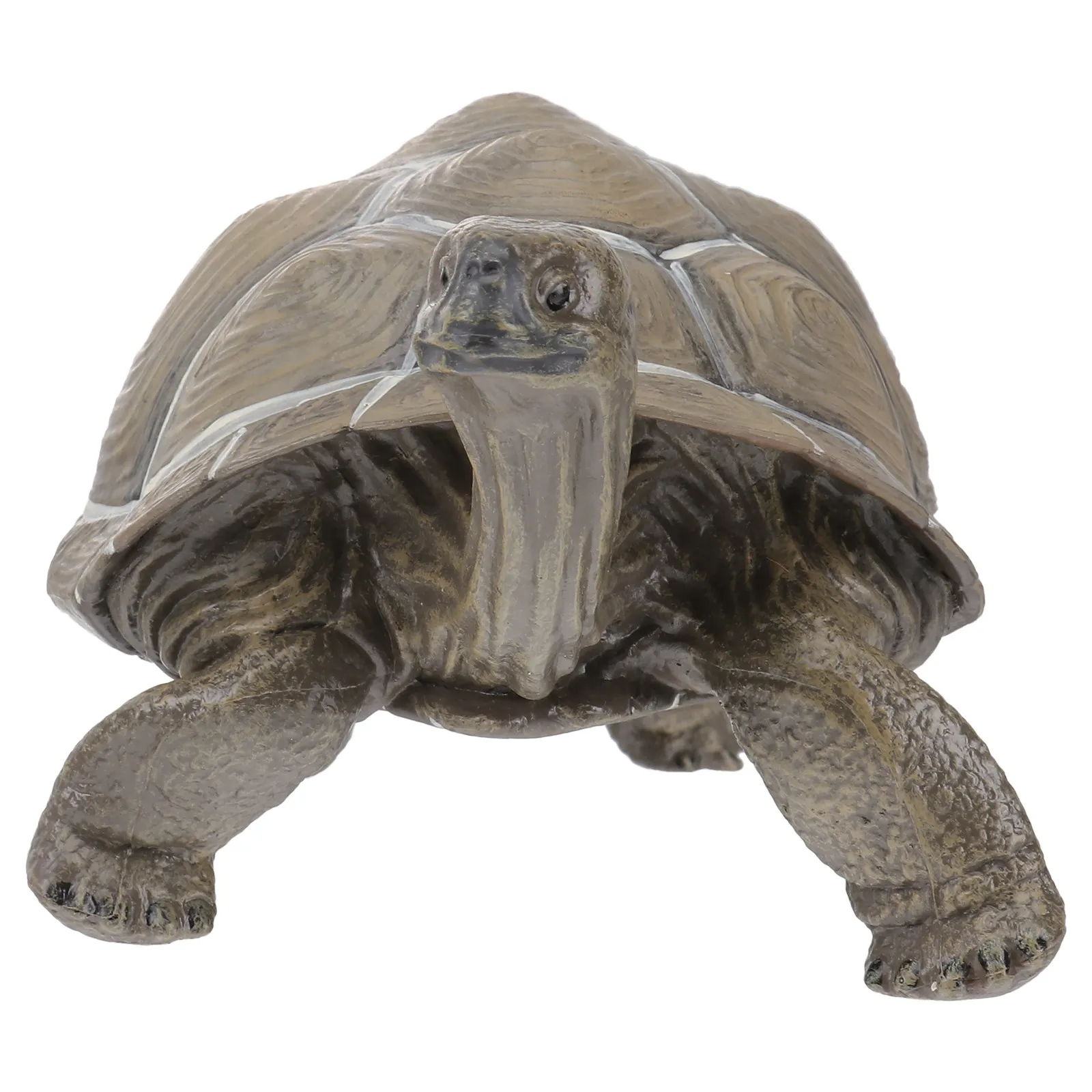 

Artificial Tortoise Decoration Lifelike Turtle Ornamental Adornment Home Office Wildlife Animal Decor Creative Imitation Turtle