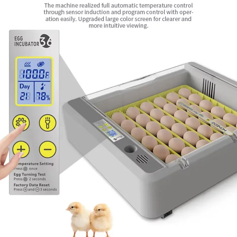 Incubator Egg Full Automatic Brooder Turning Farm 36 Eggs High Capacity Temperature Control Poultry Hatchery Machine