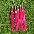JY026 5PCS 01