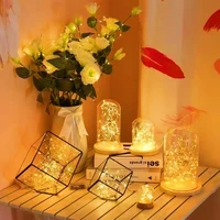 LED Fairy Lights Battery Operated String Lights Waterproof Silver Wire Firefly Starry Lights Wedding Party Xmas Christmas Decor 6