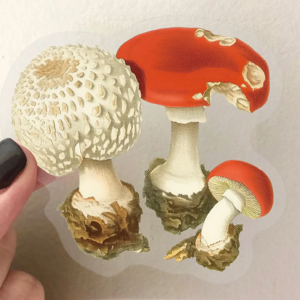 50Pcs Vintage Mushroom PET Stickers, Transparent Watercolor Decals, Creative Stickers for Journal Photocard DIY Decor