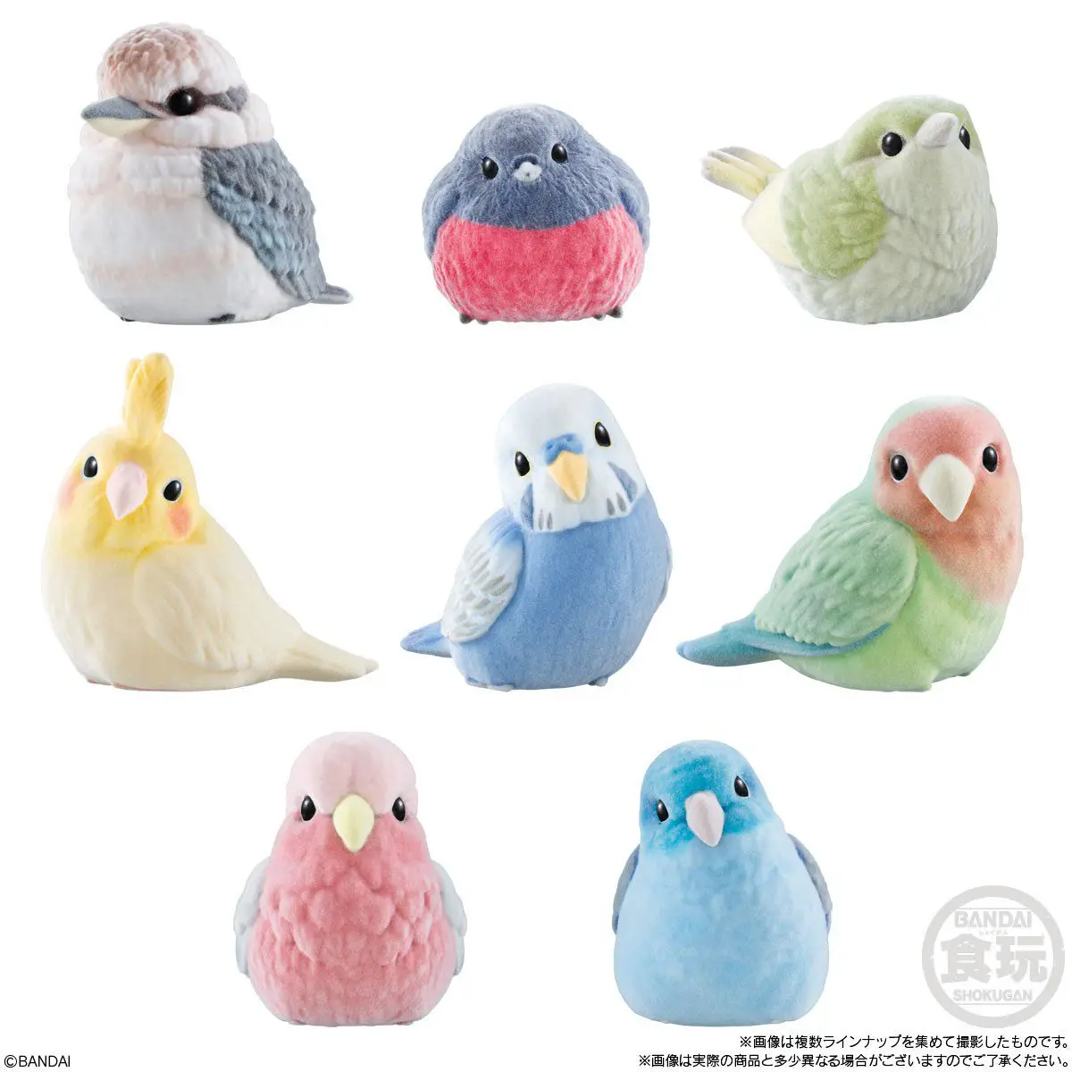 Bandai Tenori Friends Vol.3 Plucked Bird Cute Parrot Series Box Egg Animal Figure Model Toy Collection Toy Ornament
