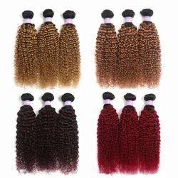 Brazilian Kinky Curly Human Hair Bundles 1B/30 Ombre Brown Colored Human Hair Weave Bundles Remy Hair Extension Can Buy 1 Bundle