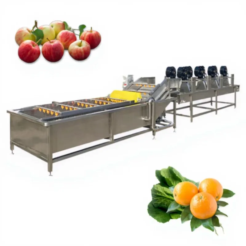 

Customized Industrial Air Bubble Washing Equipment for Avocado Mango Pumpkin Dates Cassava Ginger Carrot Potato