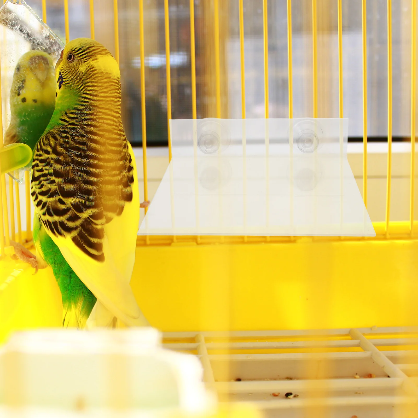 

2pcs Parrot Stand Perch Suction Cup Acrylic Bird Platform For Window Shower Bath Portable Indoor Outdoor Use Small Medium Bird