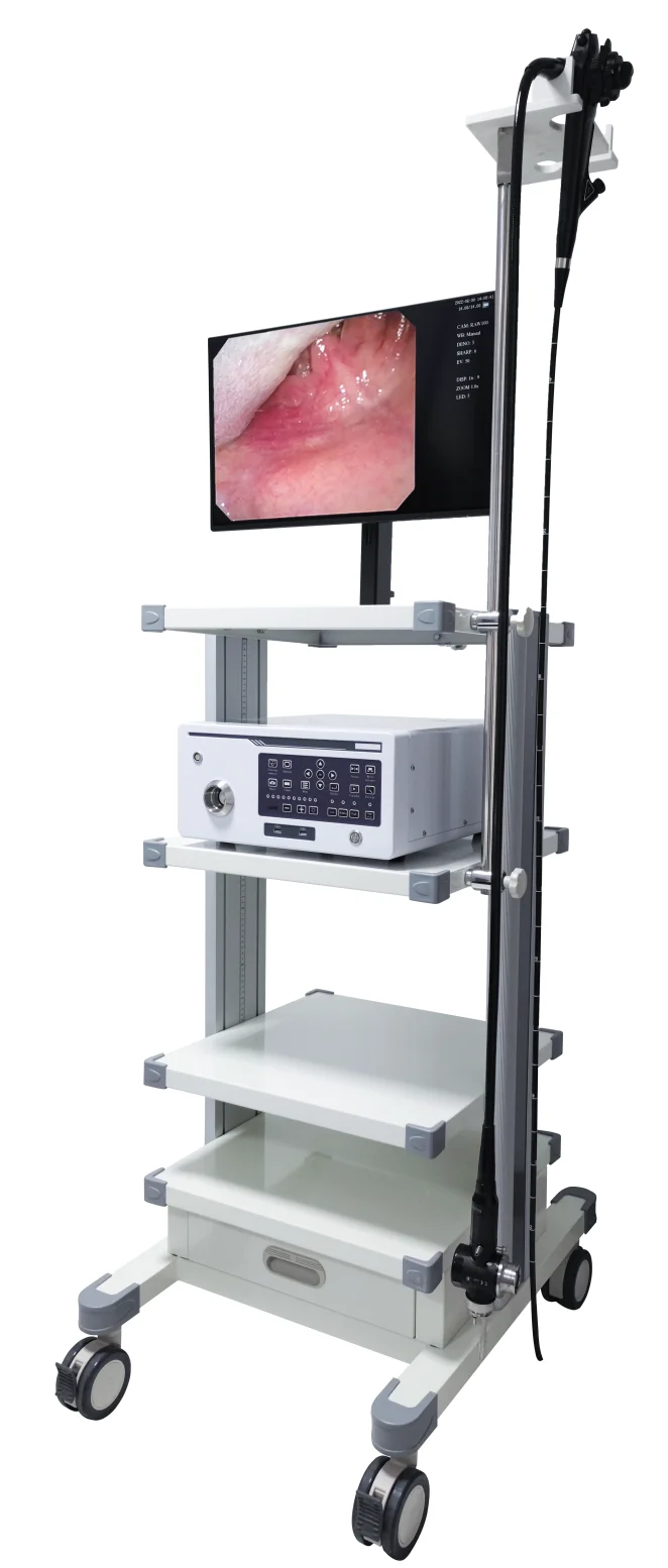 EURVET Medical Flexible Veterinary Gastroscopy Ultrasound Electronic Endoscope Equipment, Veterinary Use in Animal Hospitals