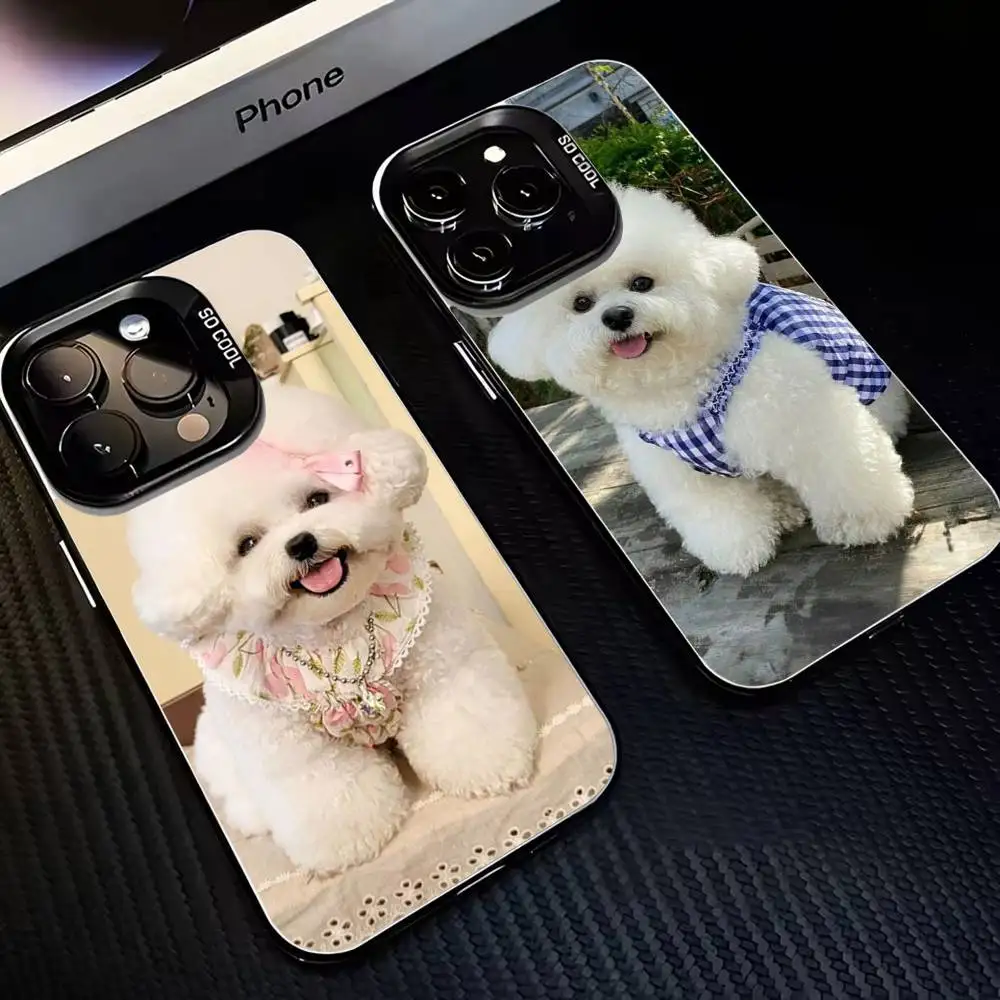 

Playful Bichon Dog Phone Case For iPhone 16,15,14,13,12,11,Mini,Pro,MAX Black Matte Shockproof Cover