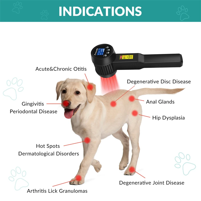 25 ไดโอด Deep Pain Relief Laser Therapy Rosacea Treatment เย็นปากกาเลเซอร์สุนัข 650nm 808nm แสงสีแดงเลเซอร์บาดแผลกีฬา