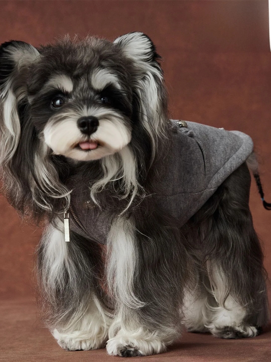 tawneybear-autumn-winter-sleeveless-sweatshirt-cardigan-coat-for-dogs-and-doll-cats-warm-casual-style-outdoor-fashion-daily-use