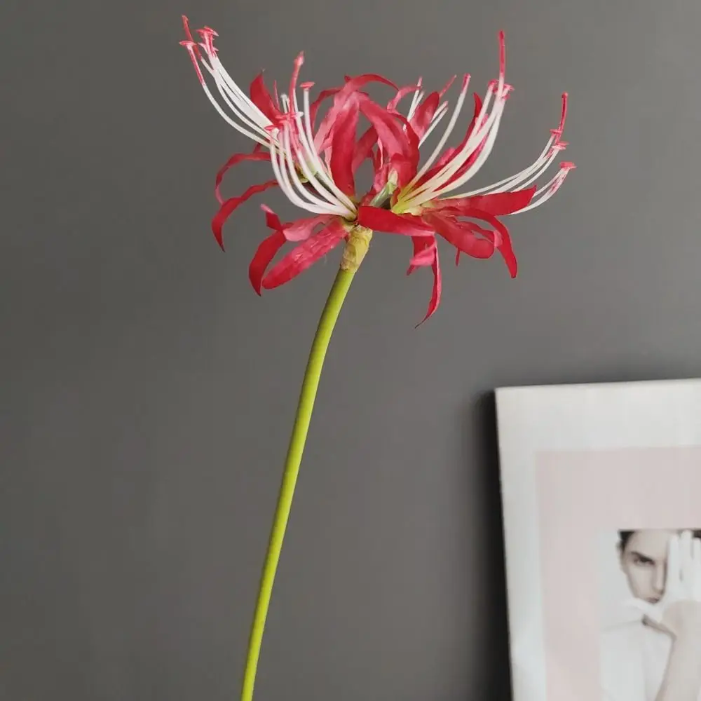 New 60cm Simulation Manzhushahua Spider Lilies DIY Artificial Flowers Silk Other Shore Flower Pseudo Lycoris Bouquet Home Decor