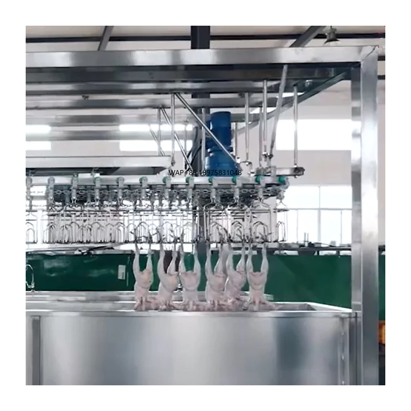 Establishment Chicken Processing Plant Slaughtering Equipment with Motor and Pump Core Components