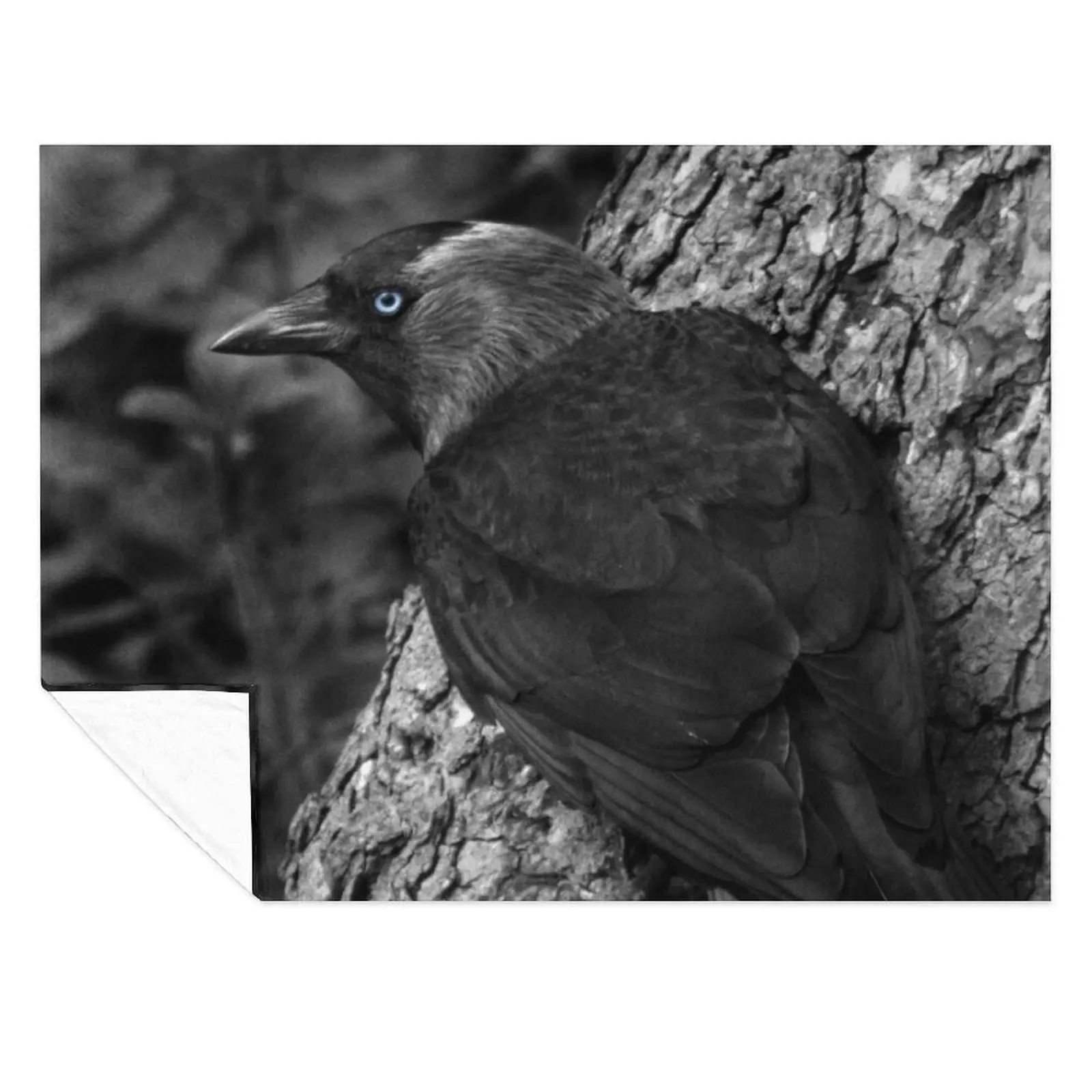 

Black common crow Throw Blanket For Baby Flannel Sofa Quilt Cute Plaid Blankets