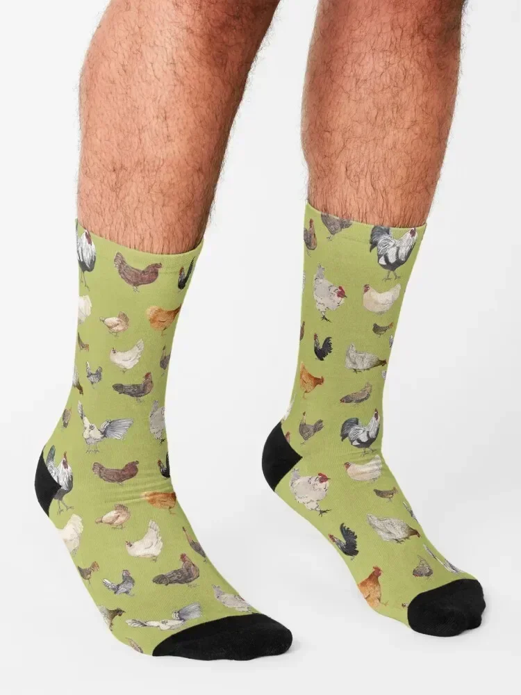 Chicken Happy pattern w/ light olive green background Socks luxe Children's Lots Sports Male Socks Women's