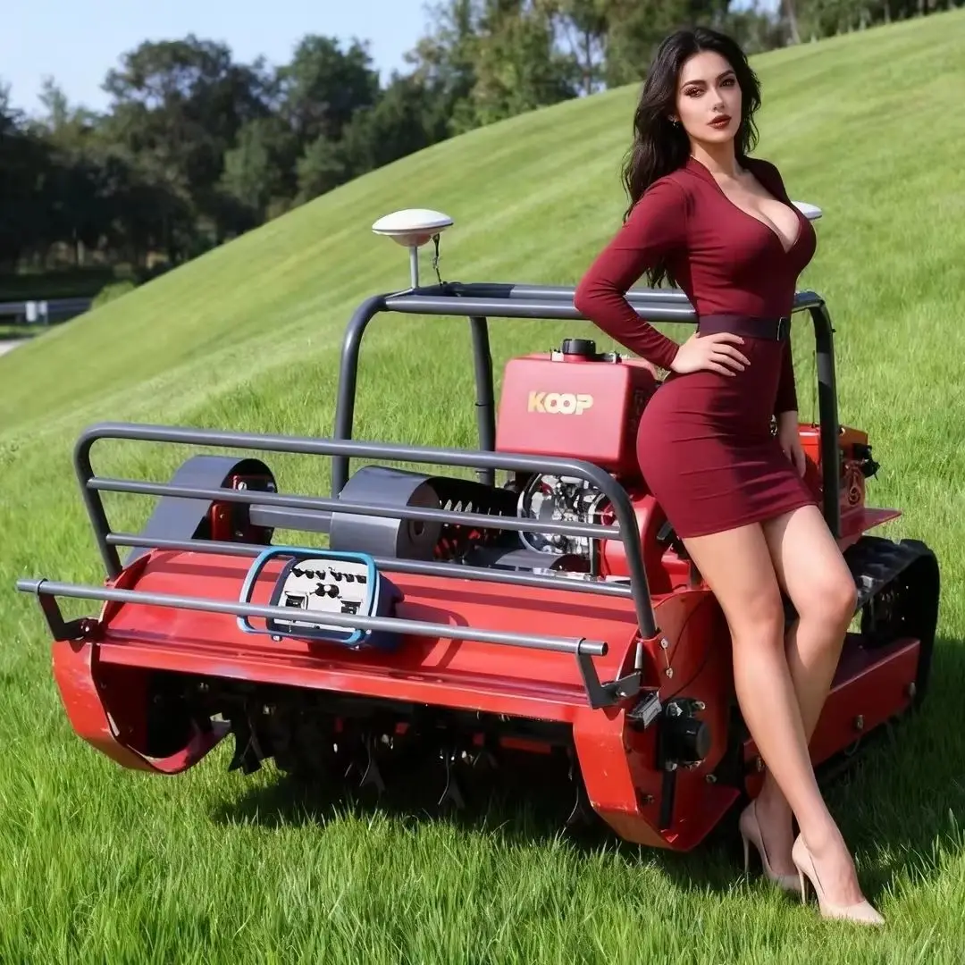 

Customized Multi-Color Optional Remote Control Flail Lawn Mower Robot GPS Automatic Navigation CE EPA Certified