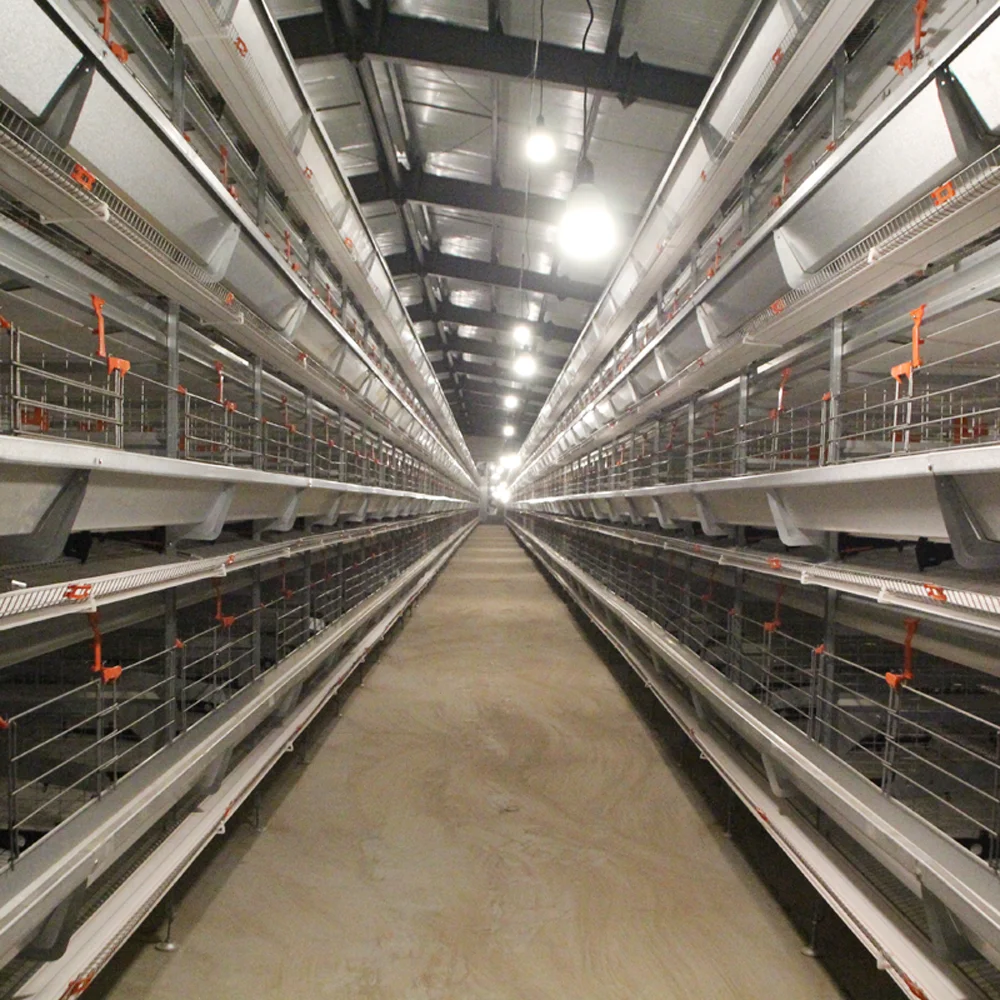 Modern New H Type Galvanized Steel Chicken Cage for Layers with Automatic Feeding and Drinking