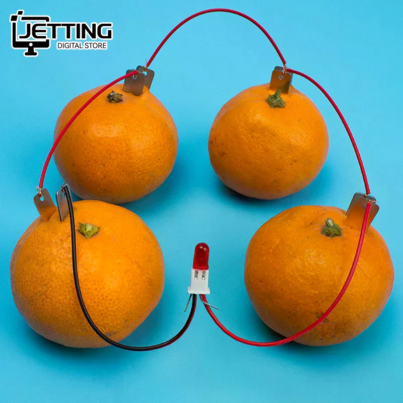 ✍1 Set Children Bio Energy Science Kit Potato Fruit Supply Electricity Experiment