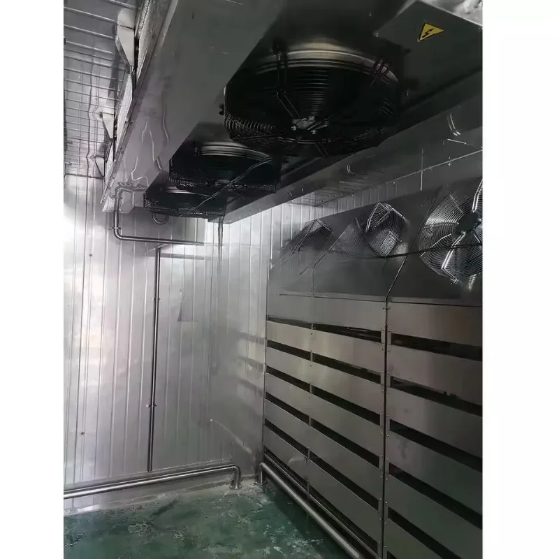 تخصيص اللحوم المجمدة الأسماك ذوبان غرفة الغذاء آلة إزالة الجليد الغذاء الصف لاستخدام دفعة صغيرة